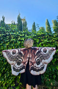 Alas de Polilla Emperadora de Costurero Real 🦋