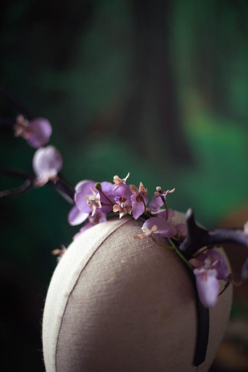 Diadema de cuernos de Orquídea